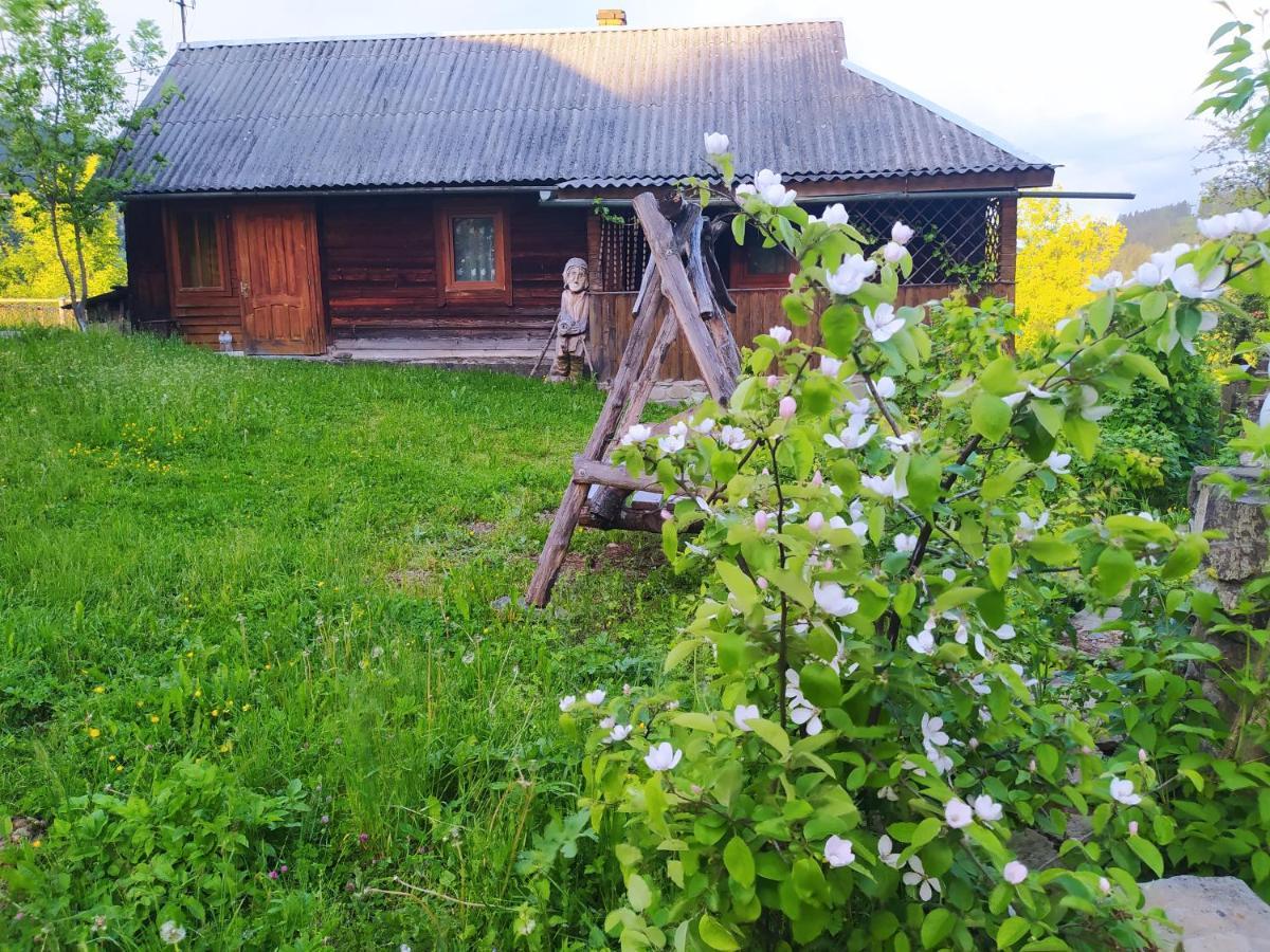 Starovitska Hata - Ethno-Cottage Verkhovyna Exterior foto