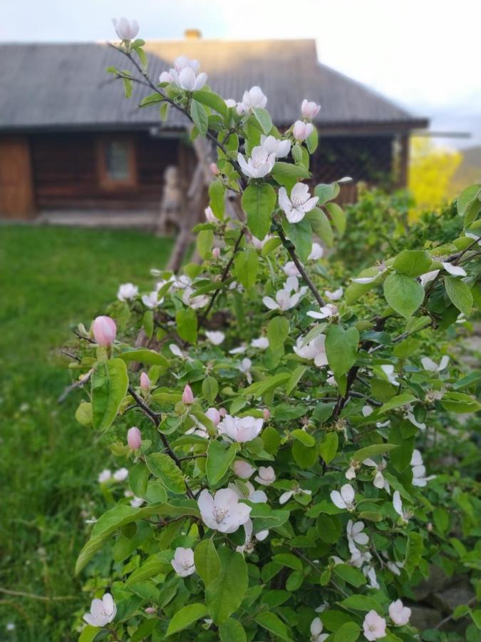Starovitska Hata - Ethno-Cottage Verkhovyna Exterior foto