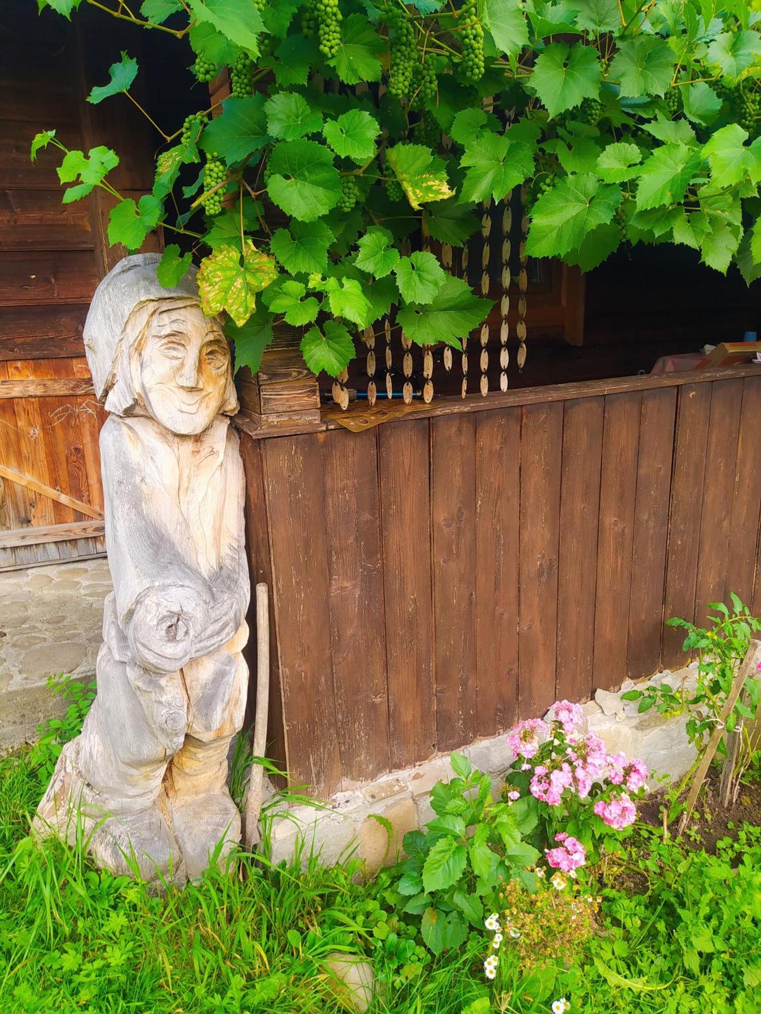 Starovitska Hata - Ethno-Cottage Verkhovyna Exterior foto